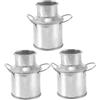 ULTECHNOVO 3 Pezzi Secchio Miniatura in Ferro Argento Vaso Piccolo per Fiori Aspetto Realistico e Design per Decorazione Interna e Giardinaggio
