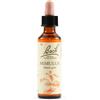 SCHWABE PHARMA ITALIA Srl Mimulus bach orig 20 ml
