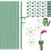 HTBAKOI 90PCS Supporto per Piante Sostegno Tutori Rampicanti Bastone Palo Interno Pomodori Bastoncini Orchidee Stabilizzare + 4 Supporto Stelo Piante Plant Support Stakes Delle in Vaso Regolabili Tutor 30CM