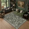 PureCozy Vintage Tappeto Salotto 160x230cm Verde Soggiorno Antiscivolo Lavabile in Lavatrice Tappeti Camera da Letto Grande Ufficio Tapette Cameretta Bambino Carpet Pelo Corto Rug