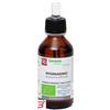 FITOMEDICAL SRL ROSMARINO MACERATO GLICERICO 100 ML BIO