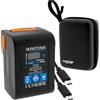 PATONA Platinum 99Wh Batteria V-Mount 6700mAh PD65W USB-C, D-Tap USB-A/DC | Batteria compatta BP-99W per fotocamera, laptop, monitor, LED-Licht, incl. custodia rigida