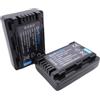 Dot.Foto 2 x Dot.Foto VW-VBY100 Premium 3.7v / 970mAh Batteria Ricaricabile per Panasonic HC-V110, HC-V130, HC-V160, HC-V201
