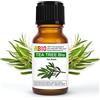 Laborbio Tea tree Bio Olio essenziale 100% Puro Albero del te' 10 ml - Uso interno Terapeutico Alimentare Diffusori ambiente Aromaterapia Cosmetica - Laborbio