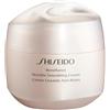 Shiseido Benefiace Wrinkle Smoothing Cream - 50ml
