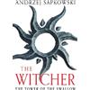 Andrzej Sapkowski The Tower of the Swallow (Tascabile) Witcher