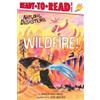 Marion Dane Bauer Wildfire! (Tascabile) Natural Disasters