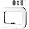 NEEWER ENTRY LEVEL VERSION Phone Video Rig con Luce, Stabilizzatore Portatile con Ring Light Quadrata LED Bicolore da 20W, 3 Cold Shoe/Batteria 5200mAh/CRI80+ per Selfie Streaming Video Vlog, NL200B