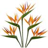 Oairse 5 fiori artificiali uccello del paradiso 66 cm, piante verdi finte decorative con stelo di fiori finti per composizioni floreali, casa, giardino, ufficio, veranda, decorazione per matrimoni, arancione