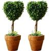 Generic Albero Falso Verde a Forma di Cuore con Vaso, Alberello di Bosso a Forma di Cuore, Pianta Artificiale a Bassa Manutenzione per Decorazione Interna della Casa, Stilizzazione per Tavolo e Mensola (2