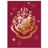 Aymax Coperta in pile Hogwarts Harry Potter 140 x 100 cm