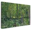 Printed Paintings Stampa su Tela con Telaio (60x40cm): Vincent Van Gogh - Alberi e sottobosco - Quadri Moderni