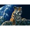Grafika Puzzle Only One Home - 2000 pezzi, gioco di puzzle colorato