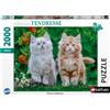 Nathan - 2000-piece puzzle - Siberian Kittens - Ages 14+ - Premium quality puzzle - Tenderness Collection - 12001868