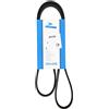 DAYCO 6PK1250 CINGHIA POLY V COMM.ALT.FORD FIESTA
