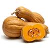 Generico Semi di Zucca Butternut Rugosa 6g | Zucca Butternut da Coltivare per Orto, Giardino e Serra | Alta Germinazione, Raccolto Abbondante | Semi Ortaggi per Orto Domestico