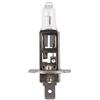 HELLA Alogeno Lampadina - H1 - Standard - 12V - 55W