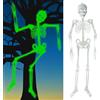 WEITAPYT Halloween Scheletro Fluorescente, 2pcs Scheletro Luminosi Fluorescenti, Scheletri Luminoso, da Appendere, per Halloween, Feste a Tema, Decorazioni da Giardino (90 Cm e 32 Cm)