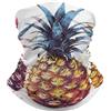 Generic Copricapo Three Pineapple Pattern Leggero Bandana Riutilizzabile Maschera per Ciclismo Climb Moto 2 Pezzi