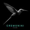 Cesare Cremonini Colibri (Vinyl LP)