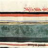 So Many You Could Never Win (CD) Album