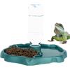 Generico D'Acqua Per Rettili - Alimentazione 2 In 1,Mangiatoia Rettili - Per Lucertole, Gechi, Camaleonti, Tartarughe, Rane, Casetta Animali Domestici, Terrario E Vasca