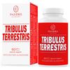 Tribulus Terrestris 500mg con Maca, Moringa, L-Arginina e Zinco - Stim
