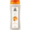 AFFINITY shampoo riparatore hamamelis & miele 300 ml Shampoo