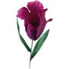Sizzix Thinlits Die Set 5PK Fringed Tulip di Olivia Rose, 664922