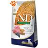 Farmina Dog N&D Ancestral Grain Puppy Mini Agnello e Mirtillo - Sacco Da 2,5 Kg
