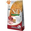 Farmina Dog N&D Ancestral Grain Senior Medium Maxi Pollo e Melograno - Sacco Da 2,5 Kg