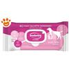 Inodorina Dog&Cat Refresh Aloe Vera - Confezione Da 110 Salviette