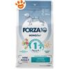 Forza10 Dog MonoDiet Mini Adult al Pesce - Sacco Da 1,5 Kg
