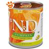 Farmina Dog N&D Pumpkin Adult Cinghiale, Zucca e Mela - Lattina Da 285 Gr