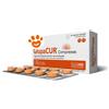 Innovet Dog&Cat Glupacur Compresse - Confezione Da 200 Compresse