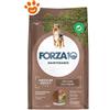 Forza10 Dog Maintenance Medium Maintenance Agnello e Riso - Sacco Da 12 Kg