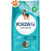 Forza10 Dog Maintenance Mini Adult Pesce - Sacco Da 2 Kg