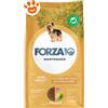 Forza10 Dog Maintenance Mini Adult Pollo e Patate - Sacco Da 2 Kg