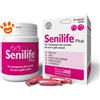Innovet Dog&Cat Senilife Plus - Confezione Da 30 Capsule