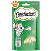 Catisfactions Cat con Erba Gatta - Confezione Da 60 Gr