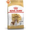 Royal Canin Dog BHN Adult Cavalier King Charles - Sacco Da 1,5 Kg