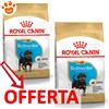 Royal Canin Dog BHN Puppy Rottweiler - Offerta [PREZZO A CONFEZIONE] Quantità Minima 2, Sacco Da 12 Kg