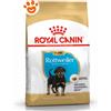 Royal Canin Dog BHN Puppy Rottweiler - Sacco Da 12 Kg