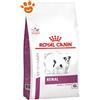 Royal Canin Dog VHN Renal Small - Sacco Da 3,5 Kg
