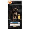 Purina Dog Pro Plan Adult Large Robust Pollo - Sacco Da 14 Kg