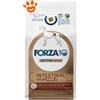Forza10 Dog Active VetDiet Intestinal Colon Fase 2 - Sacco Da 4 Kg
