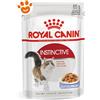 Royal Canin Cat Instinctive in Gelatina - Bustina Da 85 Gr