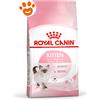 Royal Canin FHN Cat Kitten - Sacco Da 2 Kg