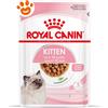 Royal Canin FHN Cat Kitten in Salsa - Bustina Da 85 Gr
