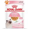 Royal Canin FHN Cat Kitten in Gelatina - Bustina Da 85 Gr